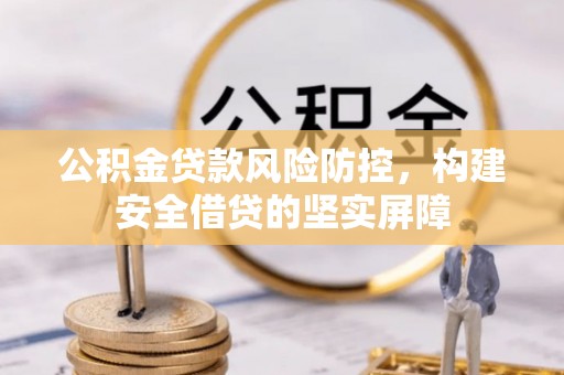 丹寨公积金贷款风险防控，构建安全借贷的坚实屏障
