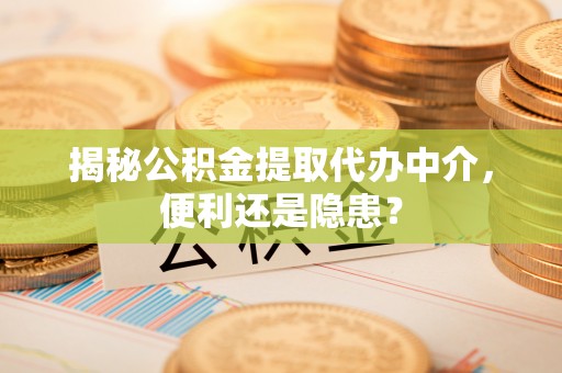 丹寨揭秘公积金提取代办中介，便利还是隐患？