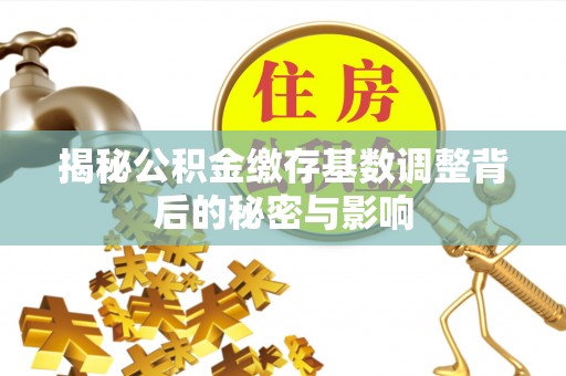 丹寨揭秘公积金缴存基数调整背后的秘密与影响