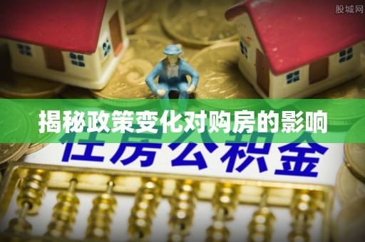 丹寨揭秘政策变化对购房的影响