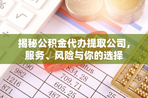 丹寨揭秘公积金代办提取公司，服务、风险与你的选择