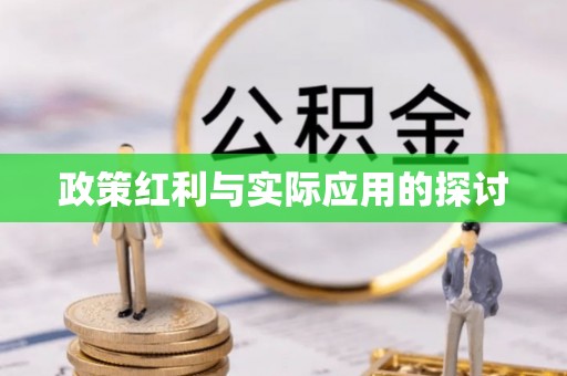 丹寨政策红利与实际应用的探讨