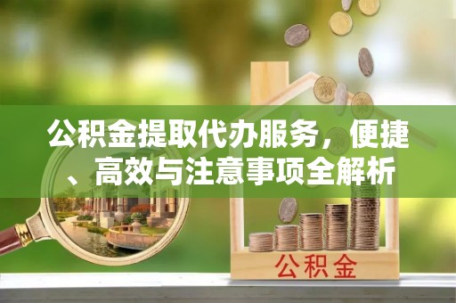 丹寨公积金提取代办服务，便捷、高效与注意事项全解析