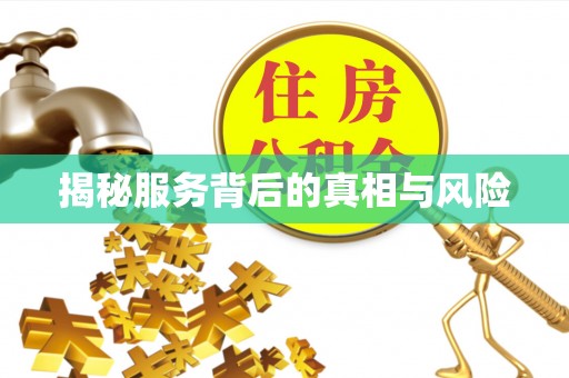 丹寨揭秘服务背后的真相与风险