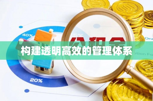 丹寨构建透明高效的管理体系