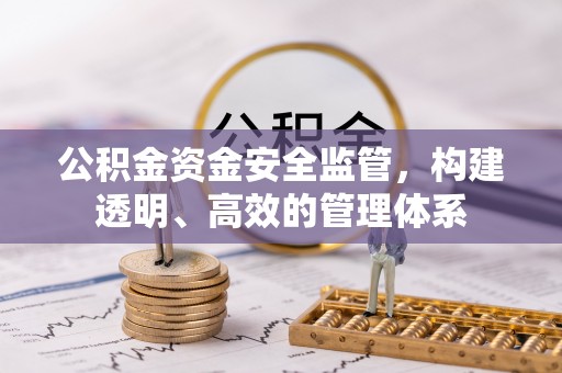 丹寨公积金资金安全监管，构建透明、高效的管理体系